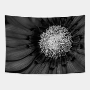 Button Black Tapestry