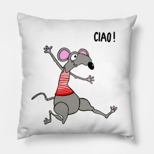 Ciao! Happy rat running to meet his friend. Pillow