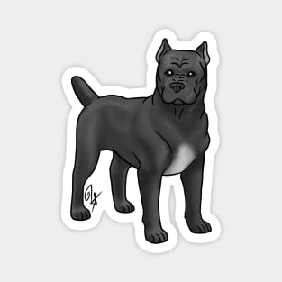 Dog - Cane Corso - Cropped Black Magnet