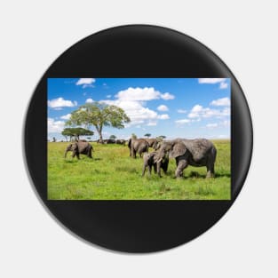 Elephant Herd In The Serengeti Landscape Pin