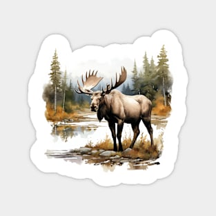 Wild Moose Magnet