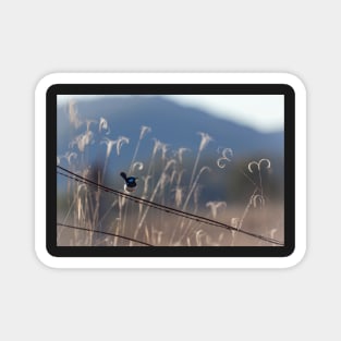 Bird On A Wire Magnet