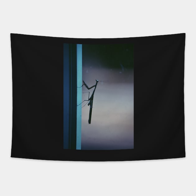 Mantis on a Window Tapestry by tessiaphoto