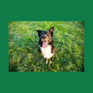 Happy Border Collie T-Shirt