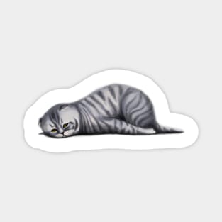 Lop-eared sad cat Magnet