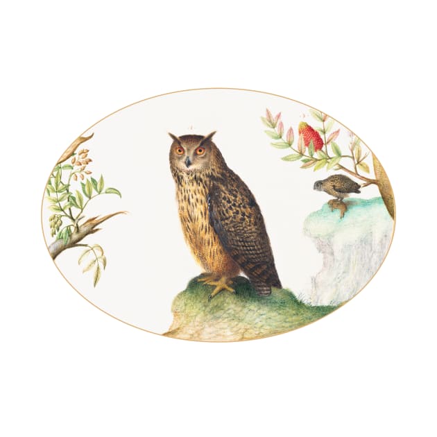 Owl with a Second in the Distance Eating a Rabbit (1575–1580) by WAITE-SMITH VINTAGE ART