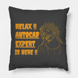 AUTOCAD EXPERT IS HERE, SO RELAX !! AUTOCAD PRO IS HERE. Pillow