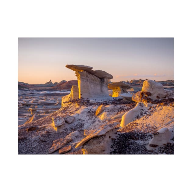 Bisti Badlands by algill