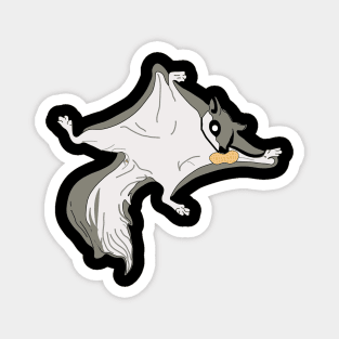 Flying squirrel Magnet