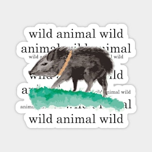 Peccary Magnet