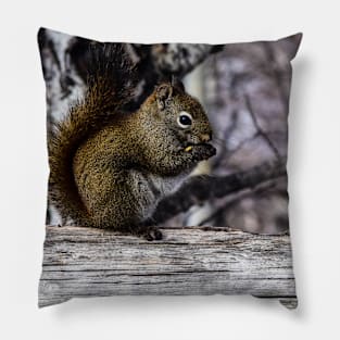 Red Squirrel on a Fence. Pillow