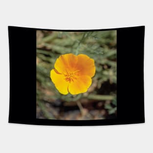 California Poppy Tapestry