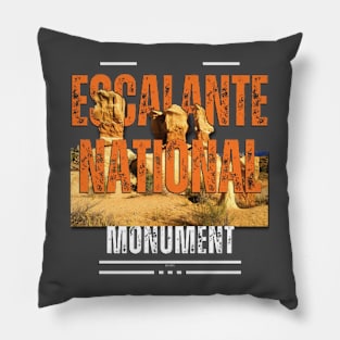 Grand Staircase Escalante National Monument Pillow