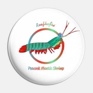 Peacock Mantis Shrimp Pin