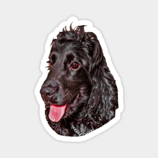 Black Cocker Spaniel Magnet