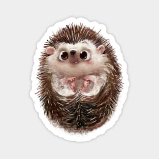 Adorable Hedgehog 1 Magnet