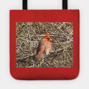 Northern Cardinal, wild birds, wildlife gifts Tote