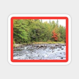Rivers Edge - Algonquin Provincial Park Magnet