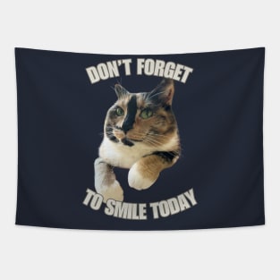 Snickers the smiling cat Tapestry