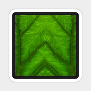 Banana leaf kaleidoscopic patterns. TWO Magnet