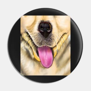 Labrador retriever mouth - cute Golden Labrador retriever puppy dog Pin