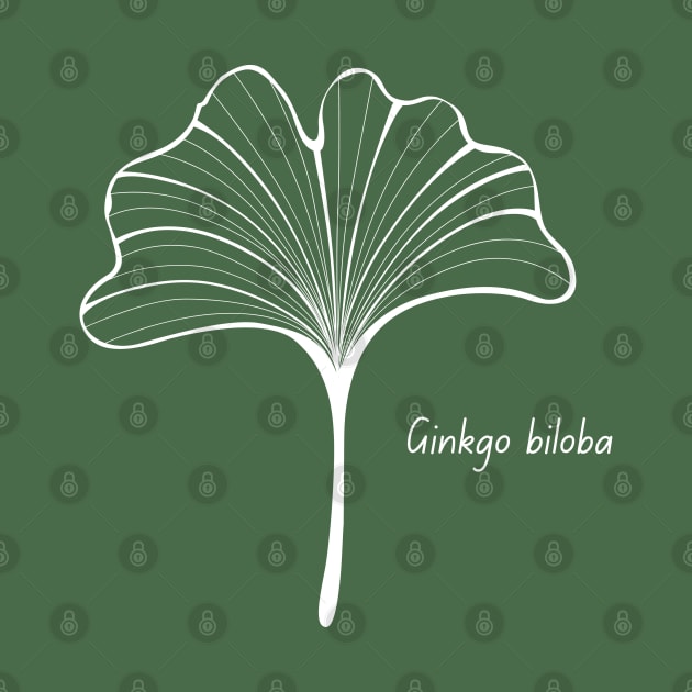 Ginkgo Biloba leaf by High Altitude