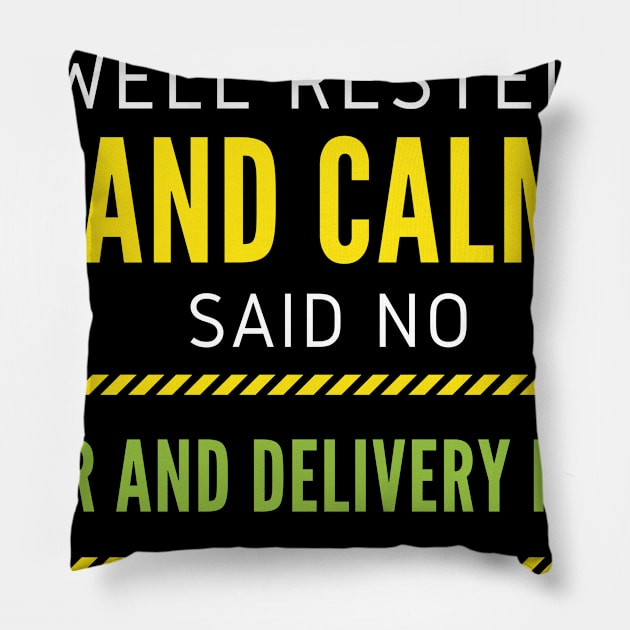 I'm So Well Rested And Calm Said No Labor and Delivery Nurse Ever Pillow by nZDesign