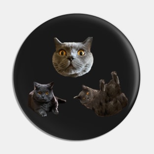 Tiny Chartreux Sticker Pack Pin