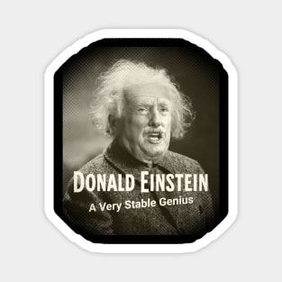 Donald Einstein Magnet