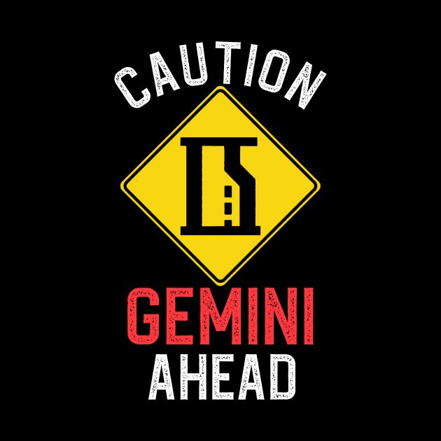 Funny Zodiac Horoscope Gemini Road Sign Traffic Signal by WitchNitch