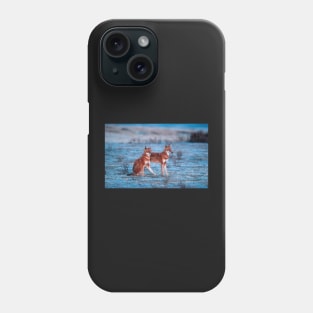Red fox-amazing picture Phone Case