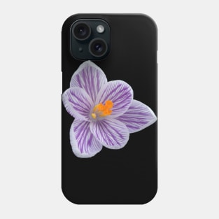 purple crocus, crocuses, spring flowers, bloom Phone Case