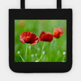 Poppies closeup with selective focus in a field Tote