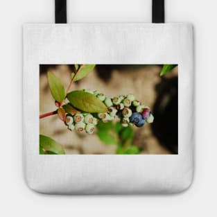 Ripening Blueberries Tote