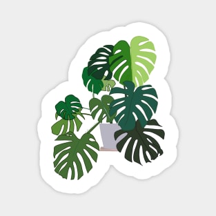 Beautiful Monstera Plant Magnet