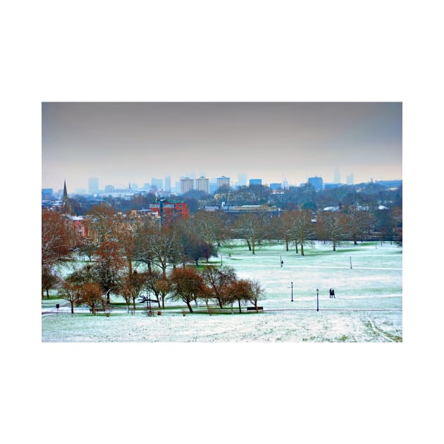 London Skyline Cityscape Primrose Hill by AndyEvansPhotos