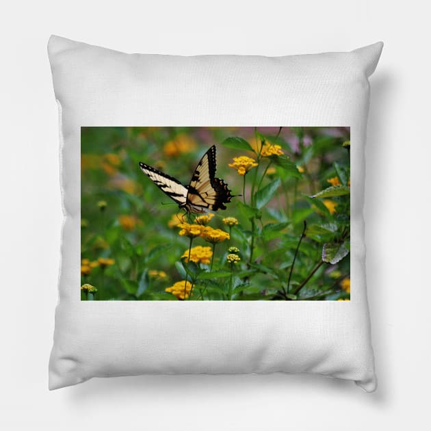 Swallowtail On Lantana Pillow by Cynthia48