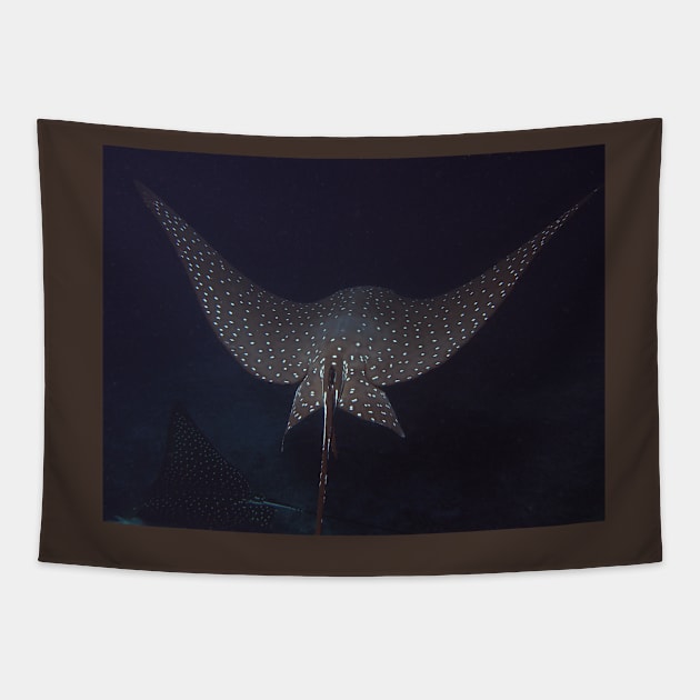 Eagle Ray In Flight Tapestry by jbbarnes