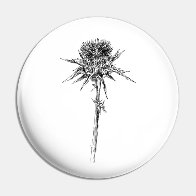 Milk thistle Pin by rachelsfinelines