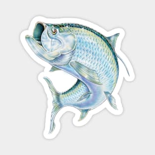 Tarpon Magnet