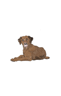 Senior Dog Adoption T-Shirt for Labrador Dog Lovers Magnet