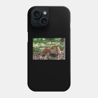 Bison Calf Phone Case