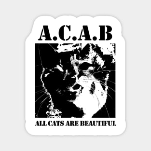 All Cats Are Beautiful Magnet