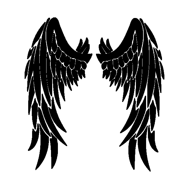 Angel Wings B&W by WannabeArtworks