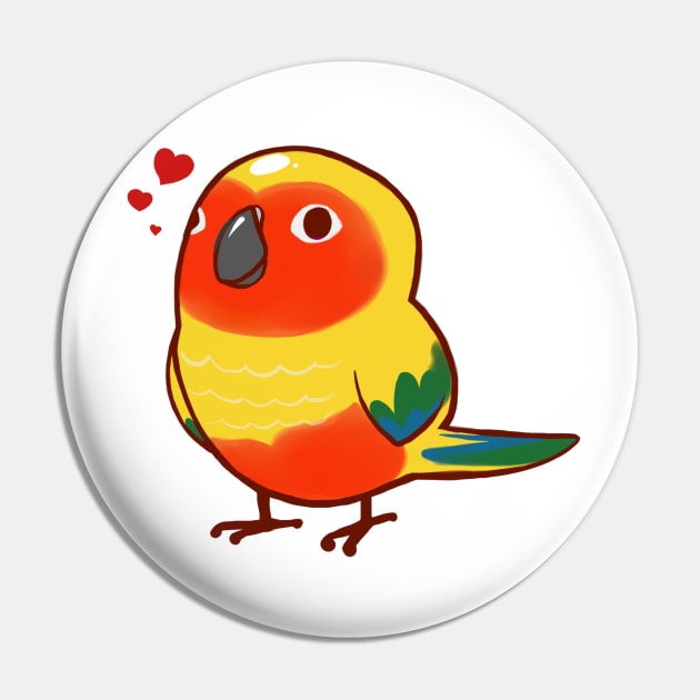 Conure 2 Pin by Shemii