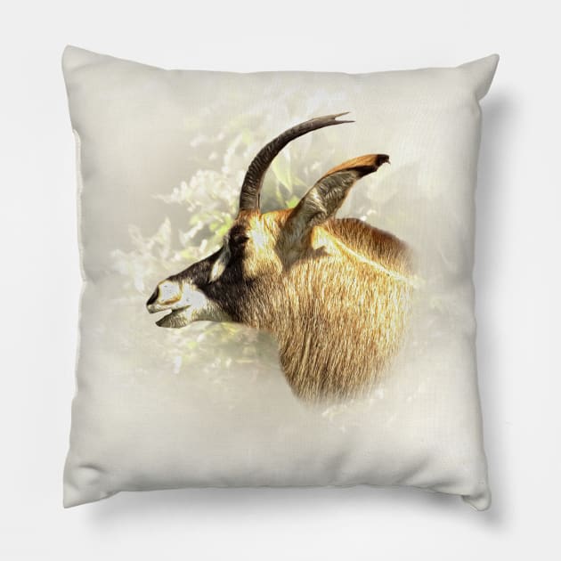 Roan antelope Pillow by Guardi