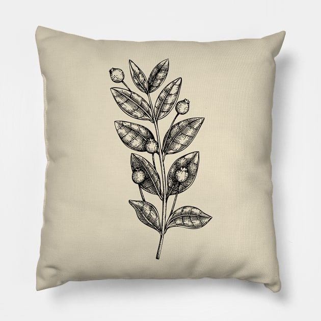 Plant Stem With Seed Pods Pillow by Garden Bliss