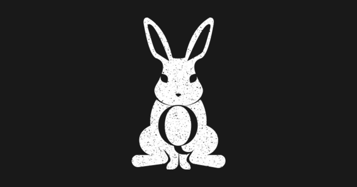 Qanon Shirt Follow The White Rabbit The Storm Is Coming ...