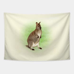 Kangaroo Tapestry