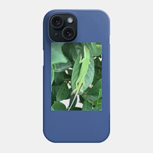 Green anole Phone Case